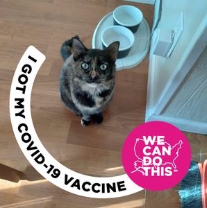 Meet your Posher, Dana